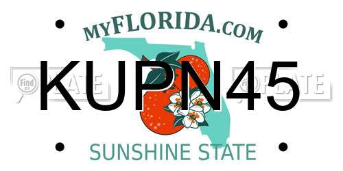 KUPN45 Florida License Plate