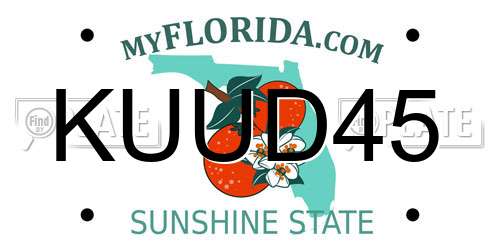 KUUD45 Florida License Plate