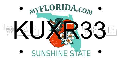 KUXR33 Florida License Plate