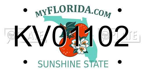 KV01102 Florida License Plate