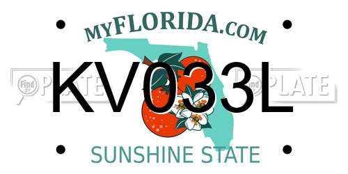 KV033L Florida License Plate