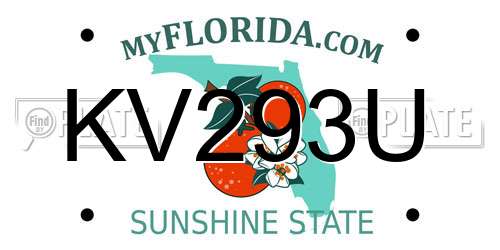 KV293U Florida License Plate