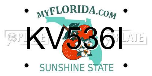 KV536I Florida License Plate