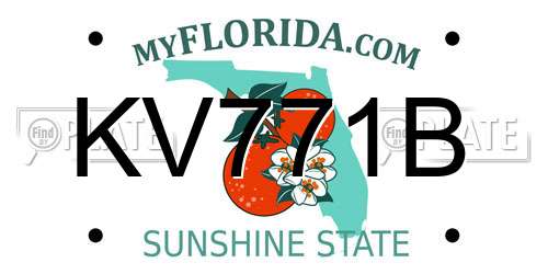 KV771B Florida License Plate