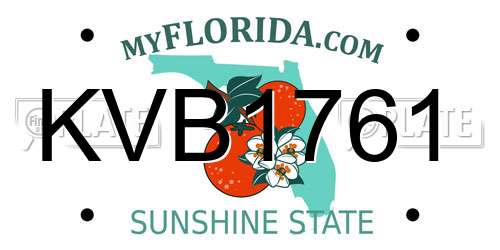 KVB1761 Florida License Plate