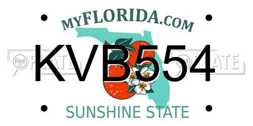 KVB554 Florida License Plate