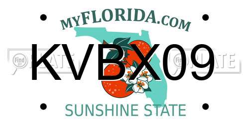 KVBX09 Florida License Plate