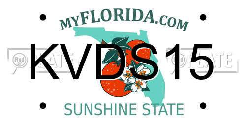KVDS15 Florida License Plate