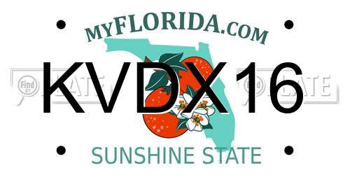 KVDX16 Florida License Plate
