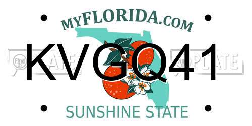 KVGQ41 Florida License Plate