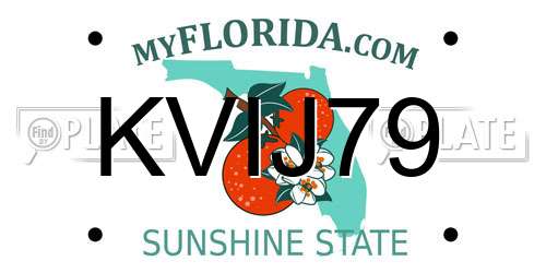 KVIJ79 Florida License Plate