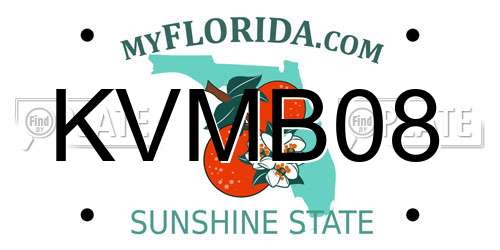 KVMB08 Florida License Plate