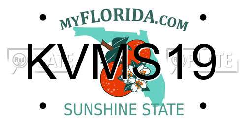 KVMS19 Florida License Plate