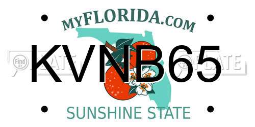 KVNB65 Florida License Plate