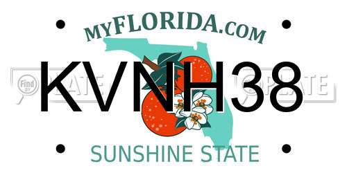 KVNH38 Florida License Plate