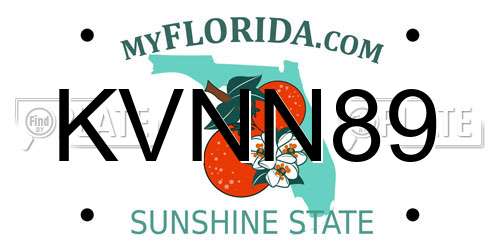 KVNN89 Florida License Plate