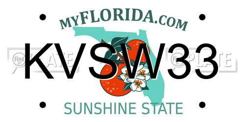 KVSW33 Florida License Plate