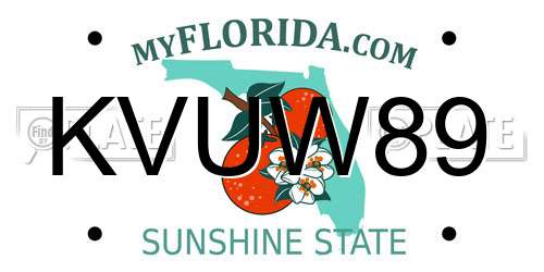 KVUW89 Florida License Plate