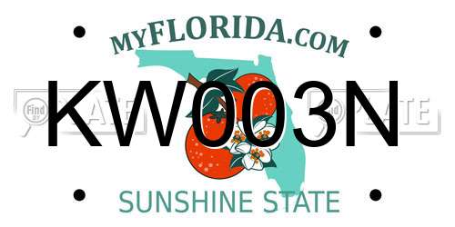 KW003N Florida License Plate