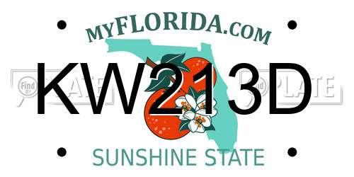 KW213D Florida License Plate