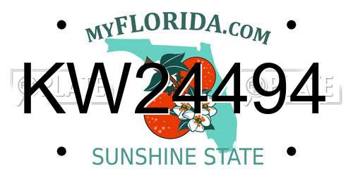 KW24494 Florida License Plate