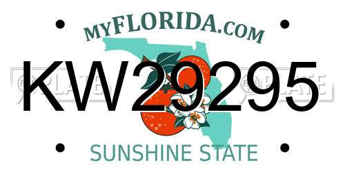 KW29295 Florida License Plate