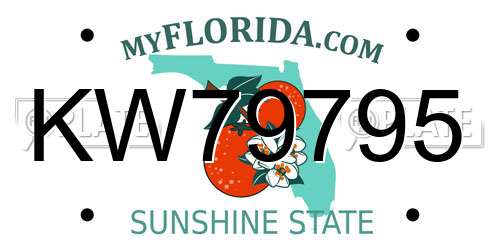 KW79795 Florida License Plate