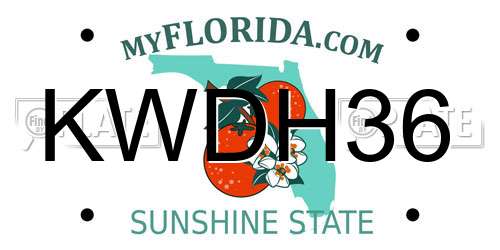 KWDH36 Florida License Plate