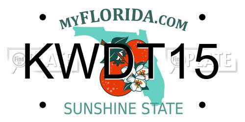 KWDT15 Florida License Plate
