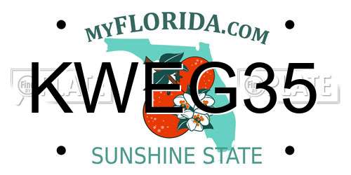 KWEG35 Florida License Plate