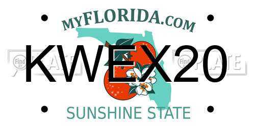 KWEX20 Florida License Plate