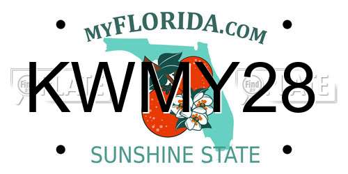 KWMY28 Florida License Plate