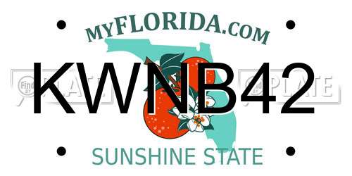 KWNB42 Florida License Plate