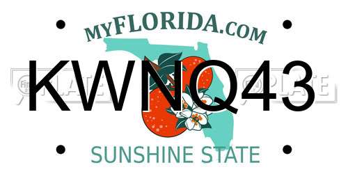 KWNQ43 Florida License Plate