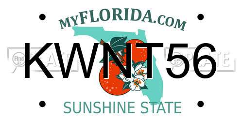 KWNT56 Florida License Plate