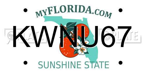 KWNU67 Florida License Plate