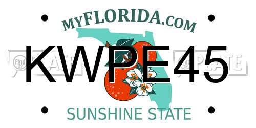 KWPE45 Florida License Plate