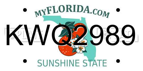 KWQ2989 Florida License Plate