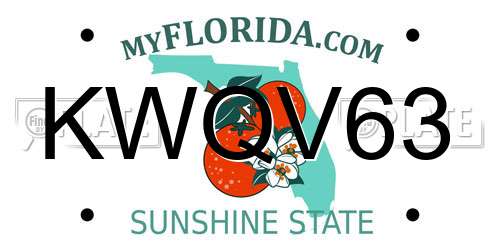 KWQV63 Florida License Plate