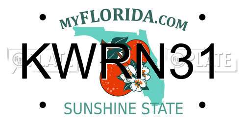 KWRN31 Florida License Plate