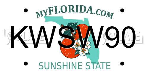 KWSW90 Florida License Plate
