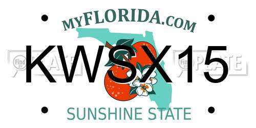KWSX15 Florida License Plate