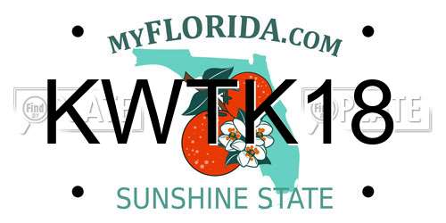 KWTK18 Florida License Plate