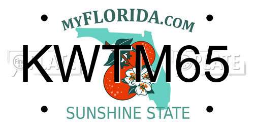 KWTM65 Florida License Plate