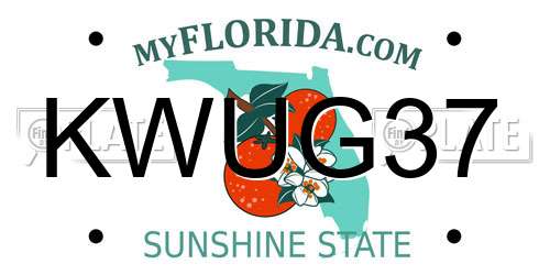 KWUG37 Florida License Plate