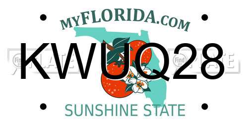 KWUQ28 Florida License Plate