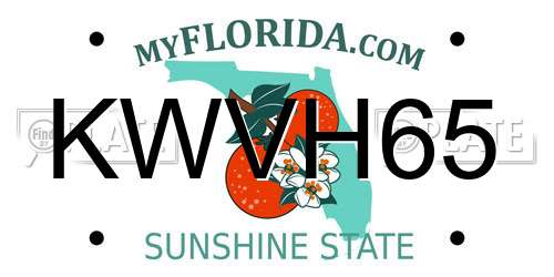 KWVH65 Florida License Plate