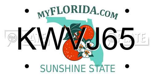 KWVJ65 Florida License Plate