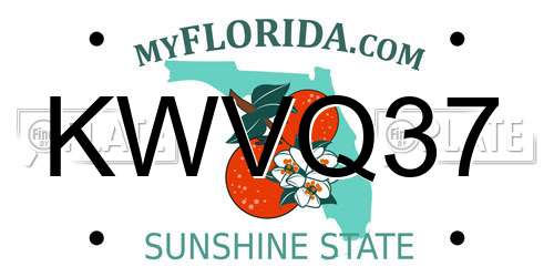 KWVQ37 Florida License Plate
