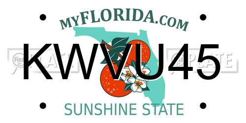 KWVU45 Florida License Plate